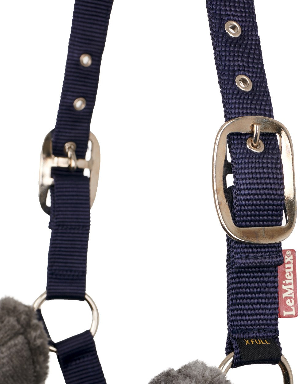 Navy coloured LeMieux Comfort Headcollar on white background 