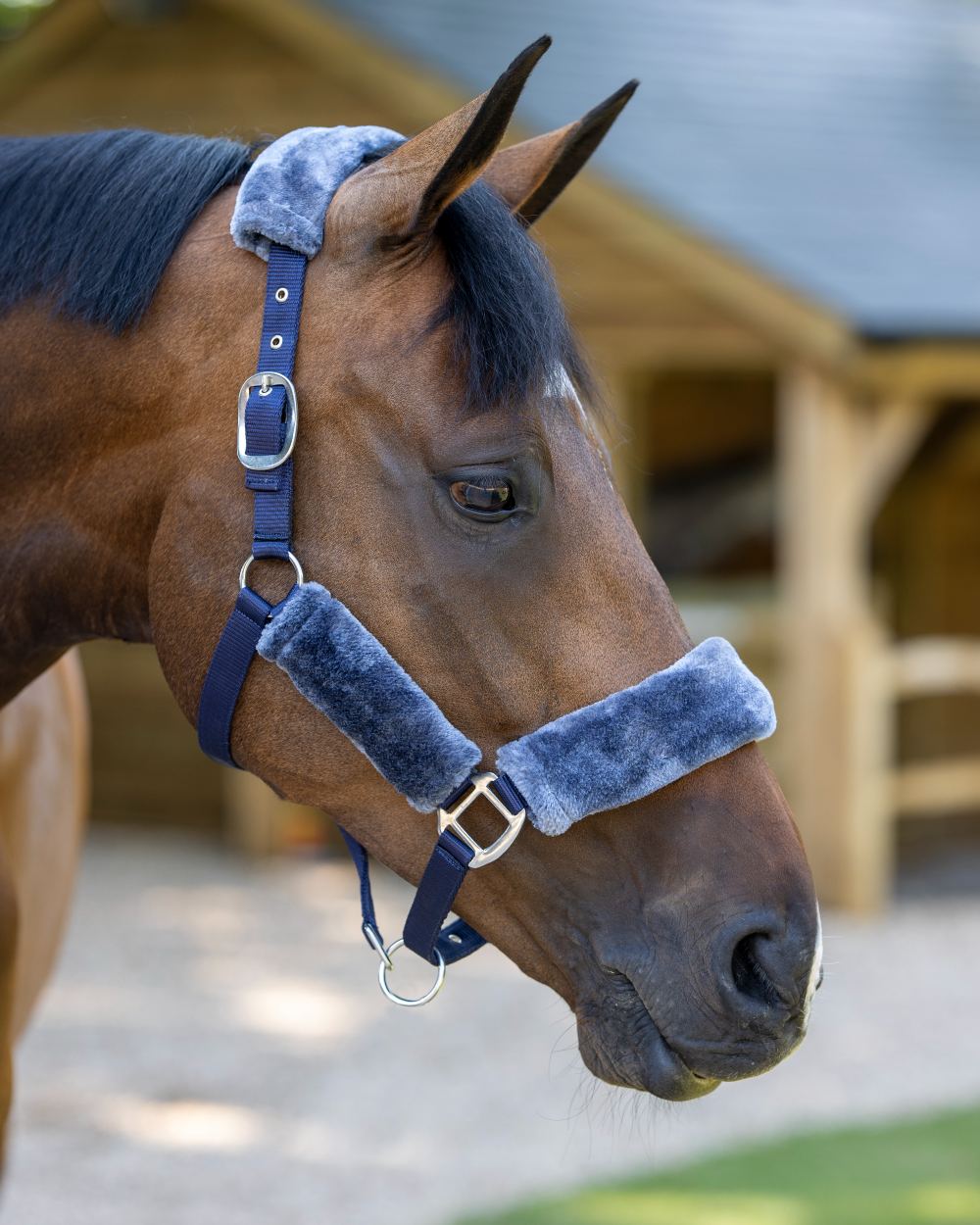 Navy coloured LeMieux Comfort Headcollar with stable in background 