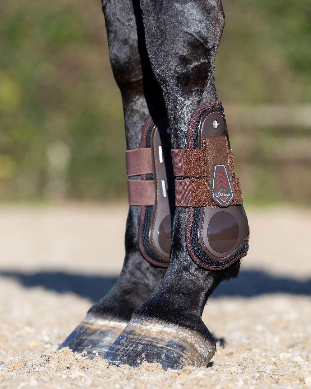 Brown coloured LeMieux Derby ProJump Tendon Boots on blurry background 