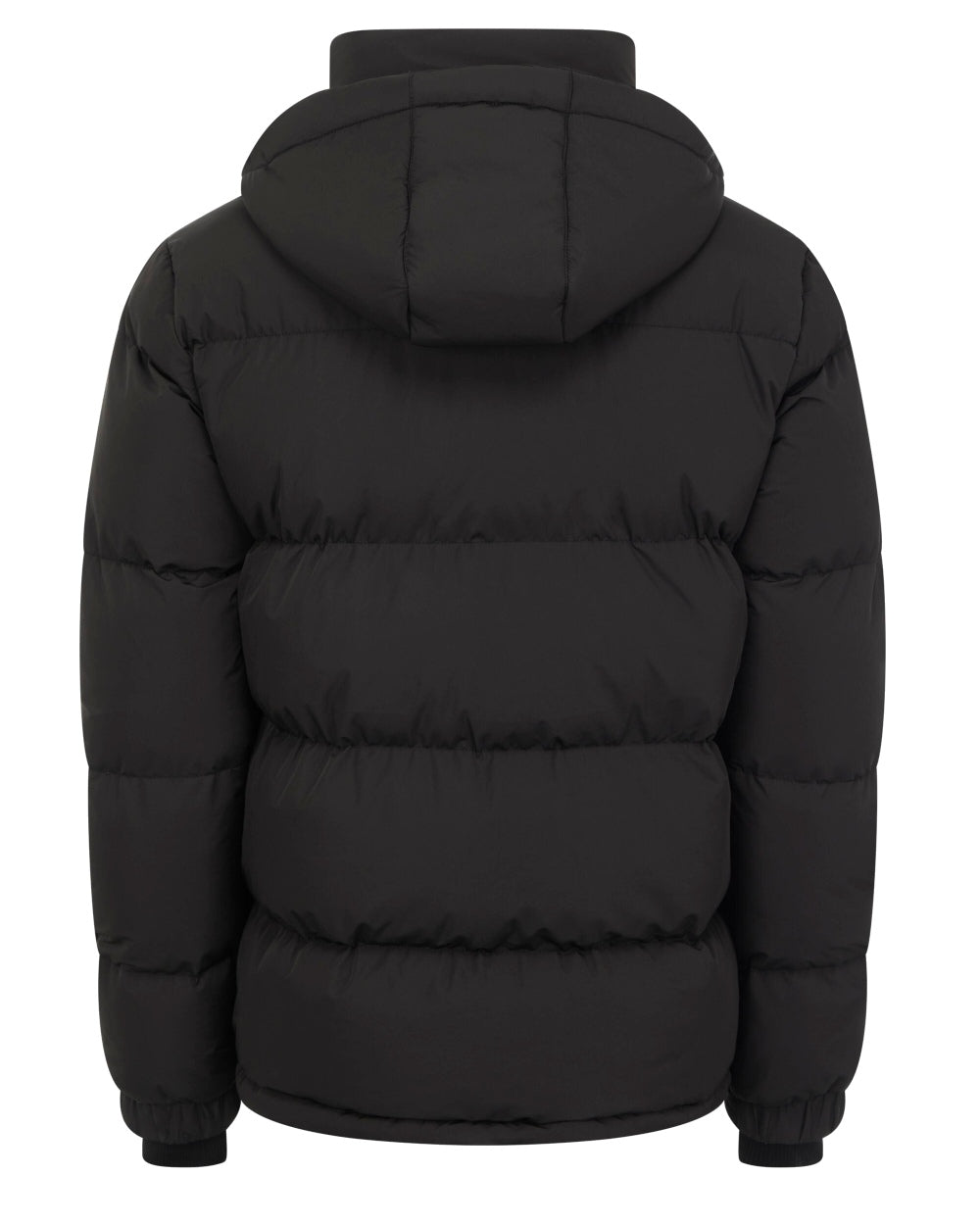 Black coloured LeMieux Elite Young Rider Boys Puffer Jacket on white background 