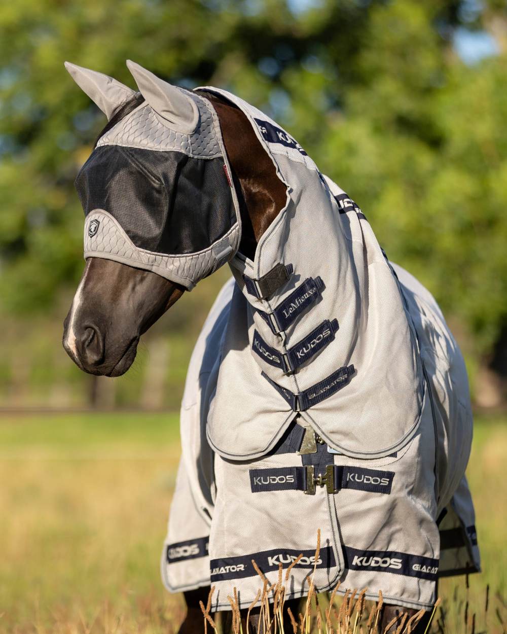 Grey coloured LeMieux Gladiator Half Fly Mask on blurry tree background 