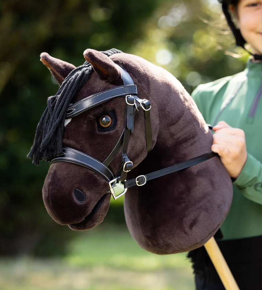 LeMieux Hobby Horse Collection - the head of a toy hobby horse with child riding it.