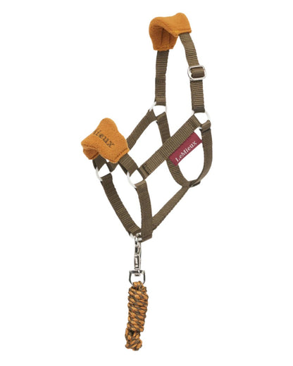 Alpine Coloured LeMieux Hobby Horse Vogue Headcollar On A White Background 