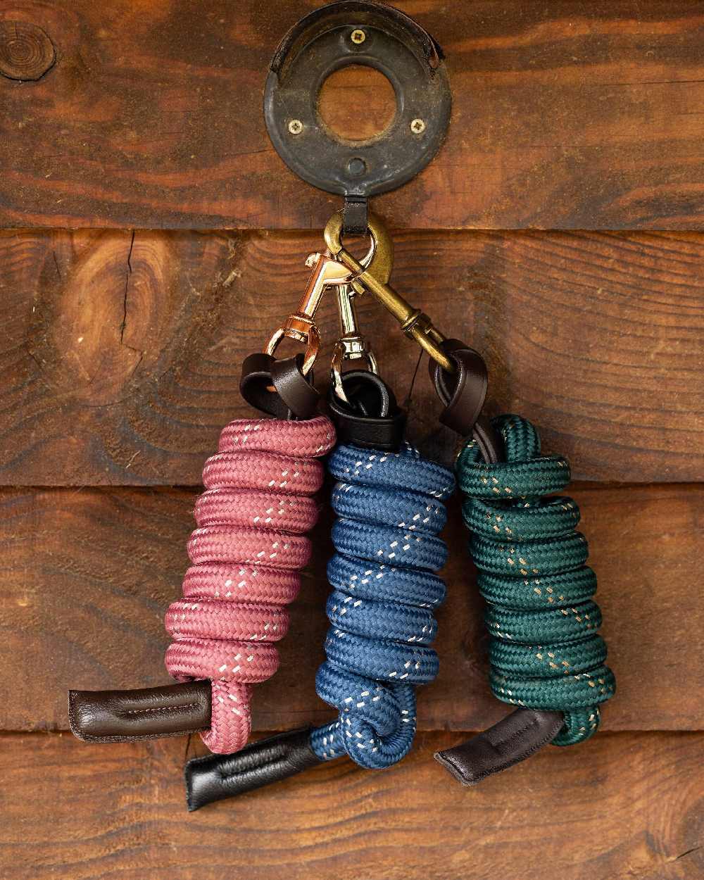 Orchid coloured LeMieux Lasso Lead Rope on wooden background 