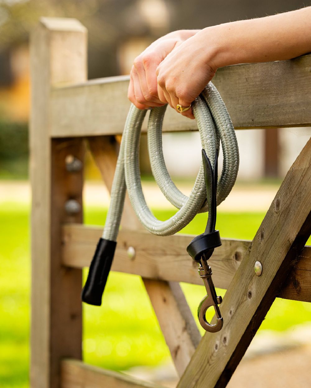 Thyme coloured LeMieux Lasso Lead Rope on wooden background 