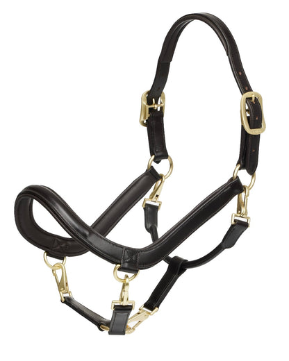 Brown coloured LeMieux Leather Grooming Headcollar on white background 
