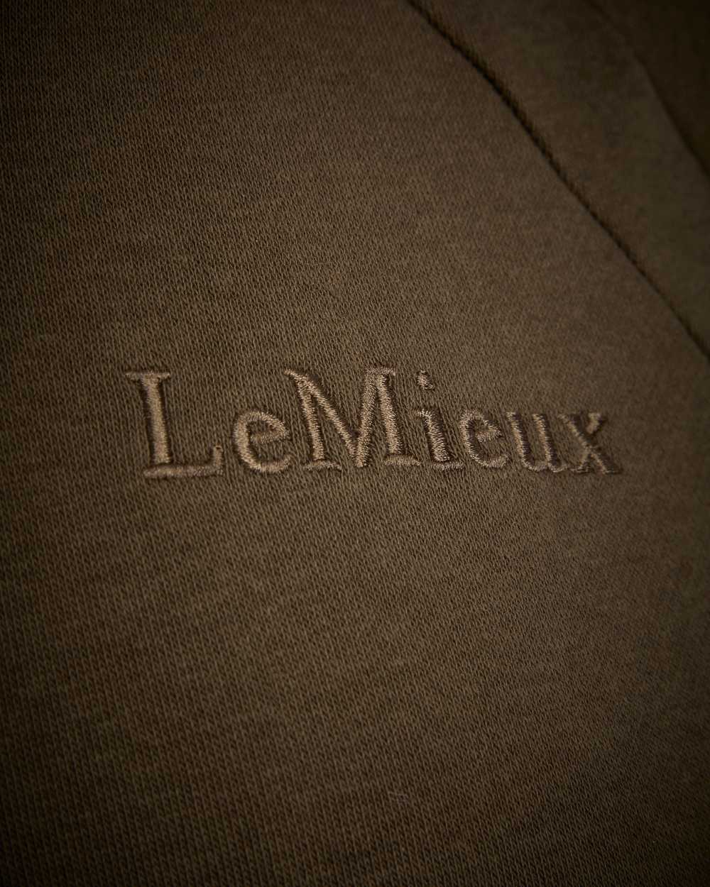 Alpine Coloured LeMieux Leia Lined Hoodie On A White Background 