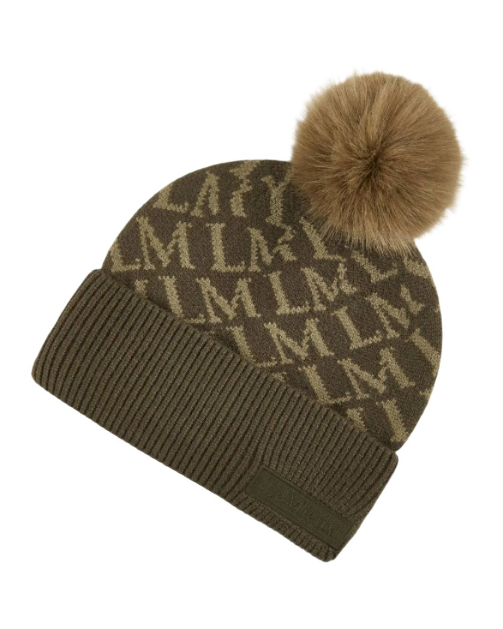 Alpine Coloured Lemieux LM Beanie On A White Background 