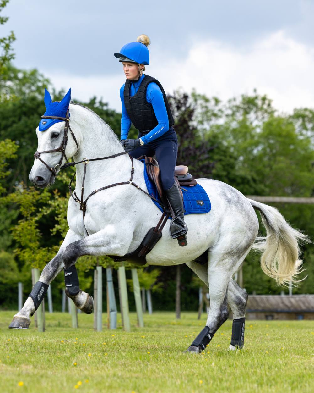 Benetton Coloured LeMieux Loire Close Contact Square On A Riding Arena Background 