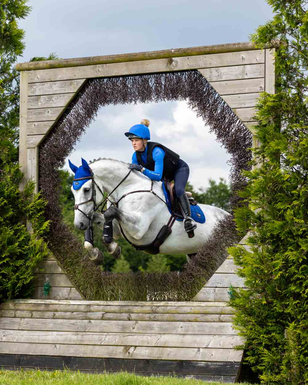 Benetton Coloured LeMieux Loire Close Contact Square On A Riding Arena Background 