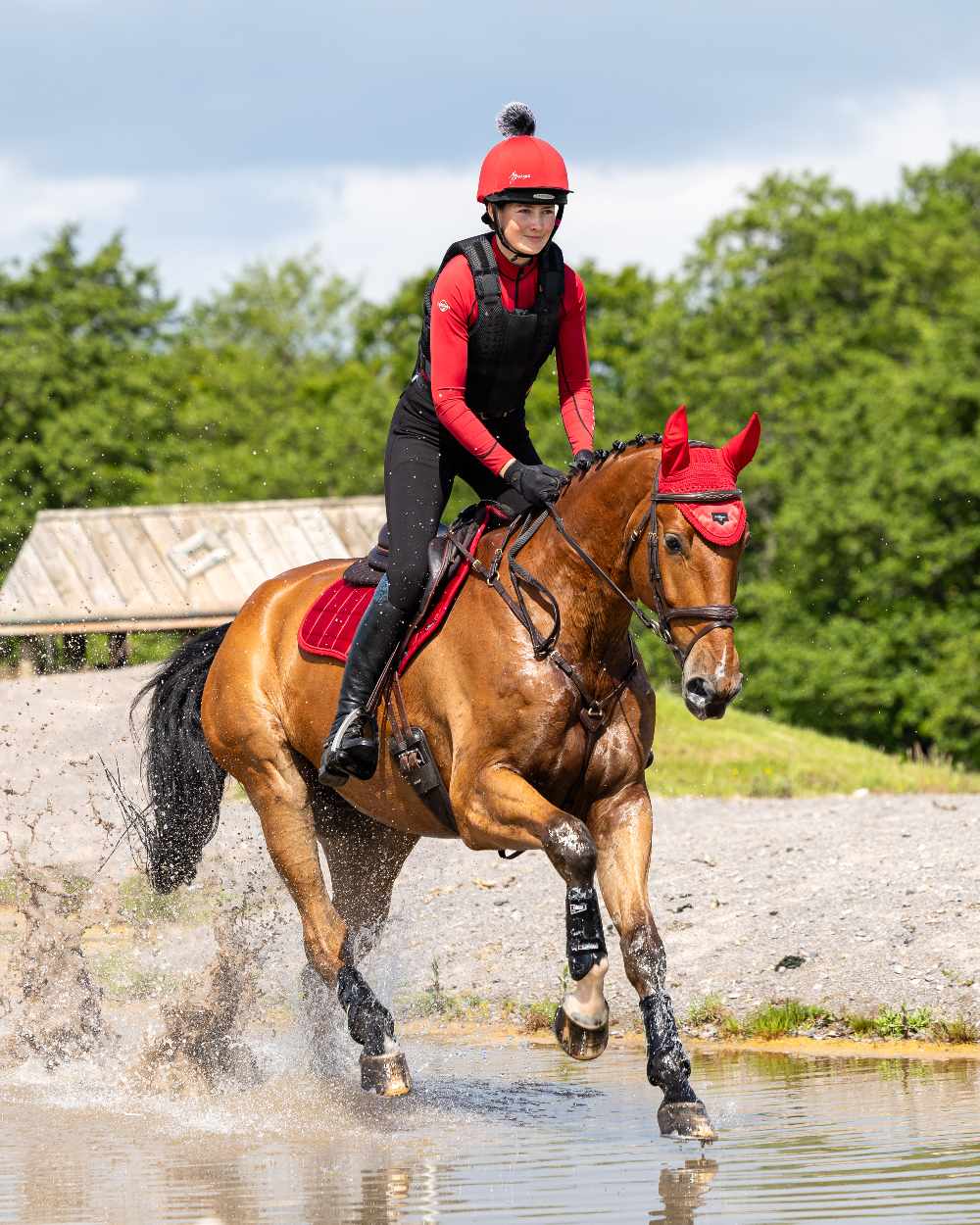 Chilli Coloured LeMieux Loire Close Contact Square On A Riding Arena Background 