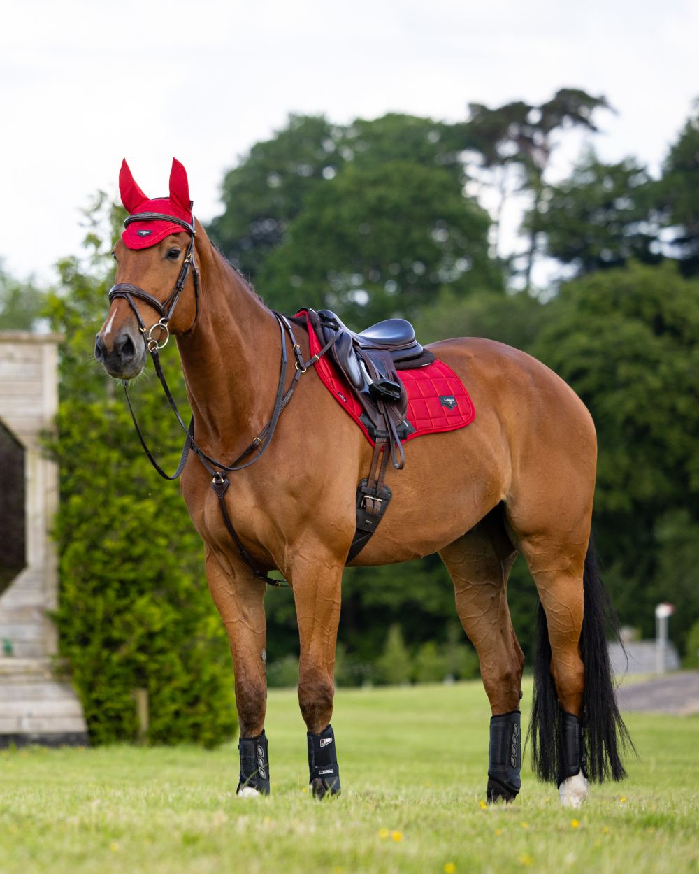 Chilli Coloured LeMieux Loire Close Contact Square On A Riding Arena Background 