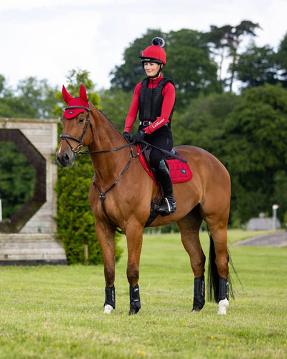 Chilli Coloured LeMieux Loire Close Contact Square On A Riding Arena Background 