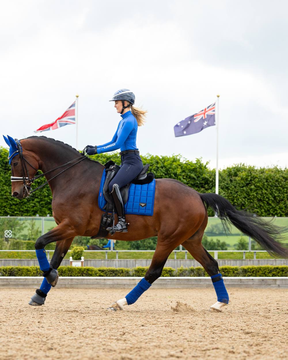 Benetton Coloured LeMieux Loire Dressage Square On A Riding Arena Background 