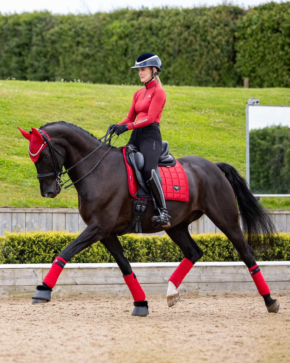 Chilli Coloured LeMieux Loire Dressage Square On A Riding Arena Background 