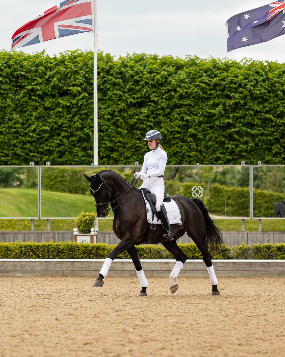 White Coloured LeMieux Loire Dressage Square On A Riding Arena Background 