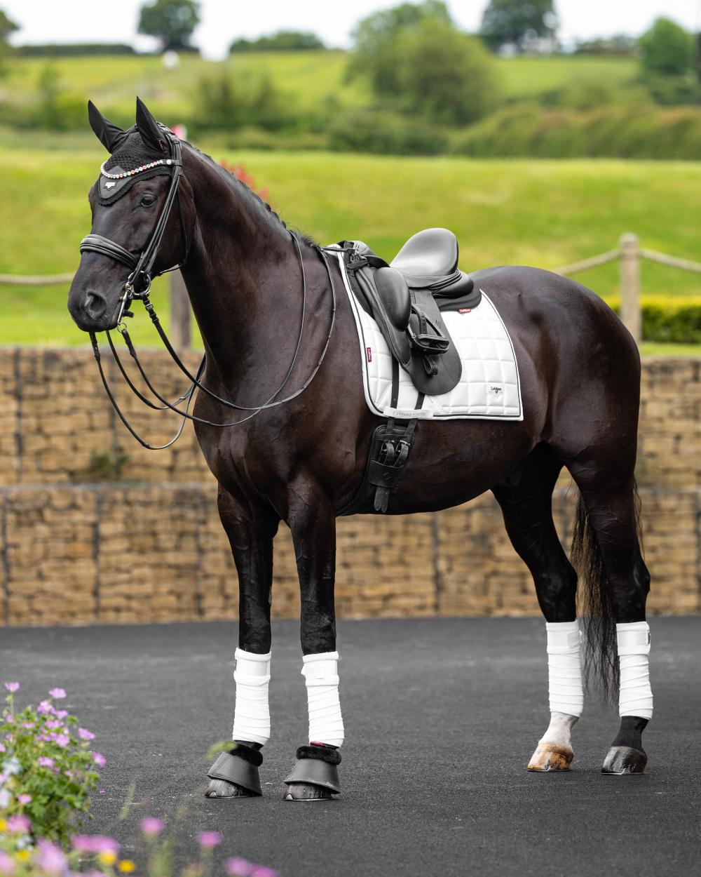 White Coloured LeMieux Loire Dressage Square On A Riding Arena Background 