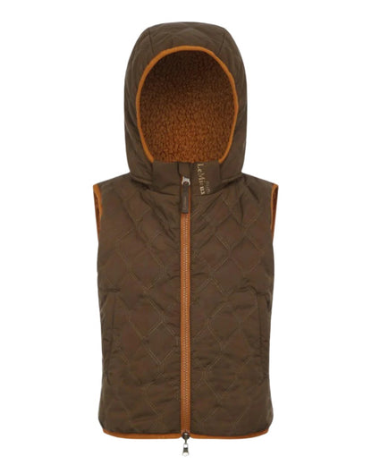 Alpine Coloured LeMieux Mini Elsie Reversible Gilet On A White Background 