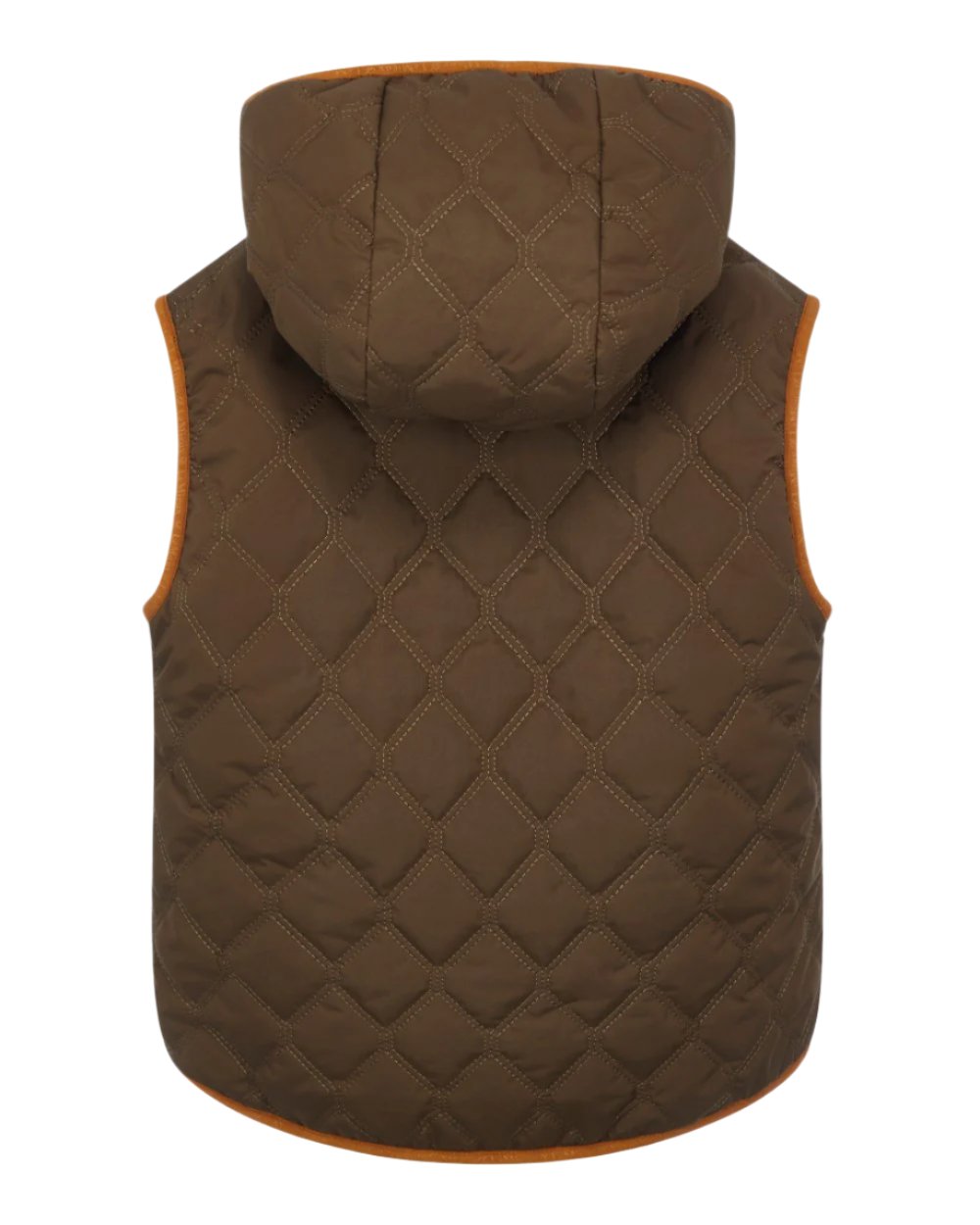 Alpine Coloured LeMieux Mini Elsie Reversible Gilet On A White Background 