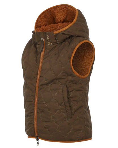 Alpine Coloured LeMieux Mini Elsie Reversible Gilet On A White Background 