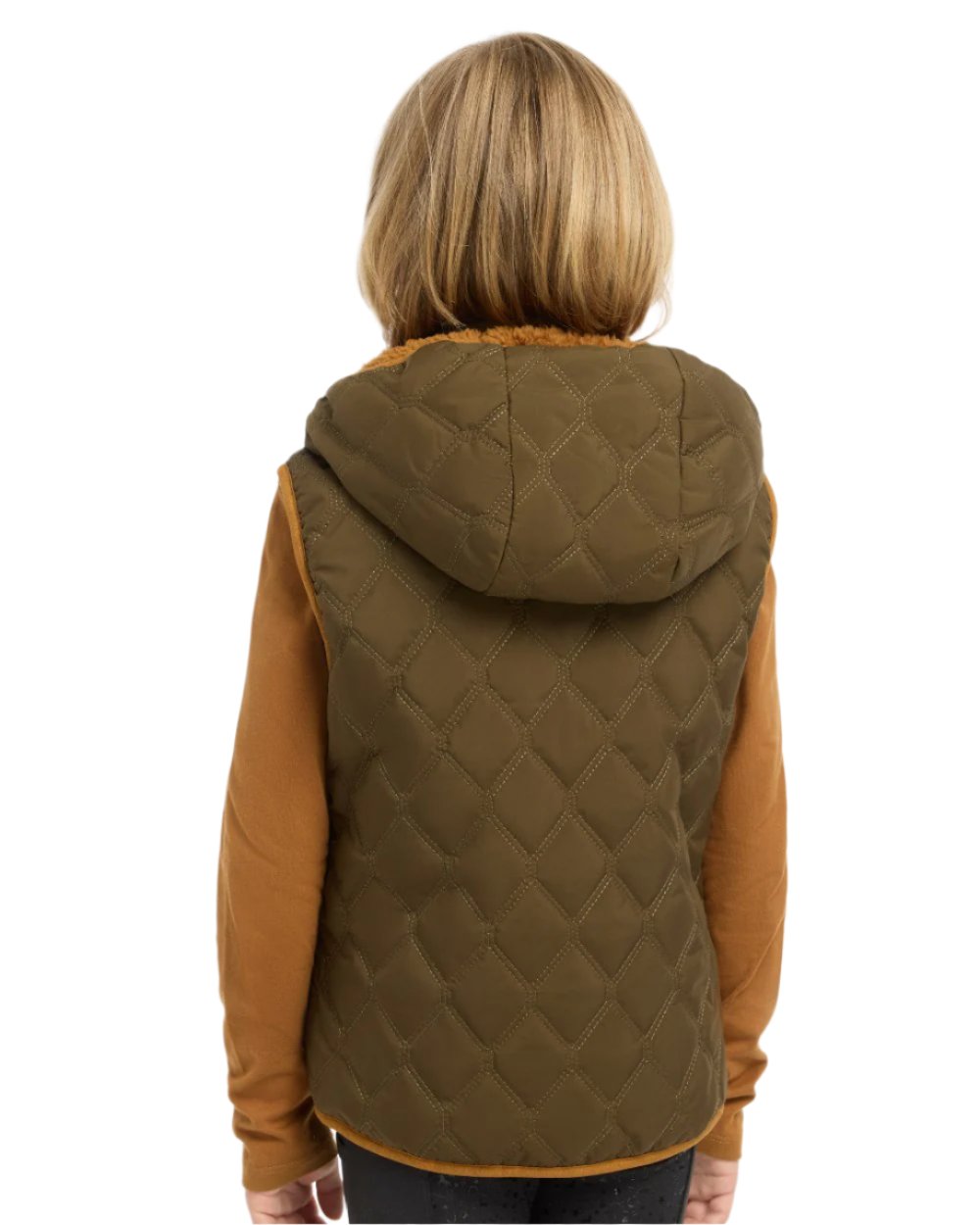 Alpine Coloured LeMieux Mini Elsie Reversible Gilet On A White Background 