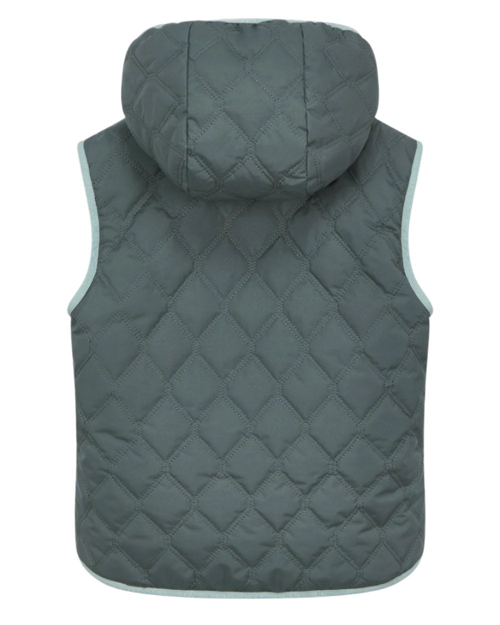 Petrol Coloured LeMieux Mini Elsie Reversible Gilet On A White Background 