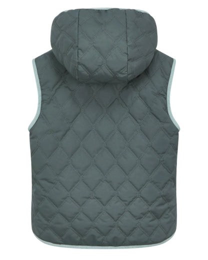 Petrol Coloured LeMieux Mini Elsie Reversible Gilet On A White Background 