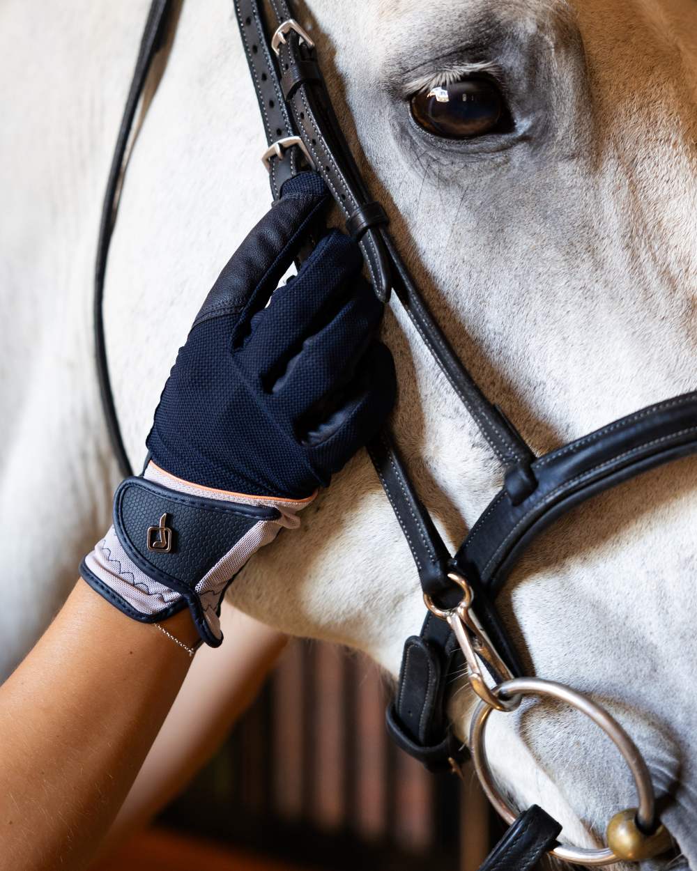 Apricot coloured LeMieux Pro Mesh Gloves with horse in background 