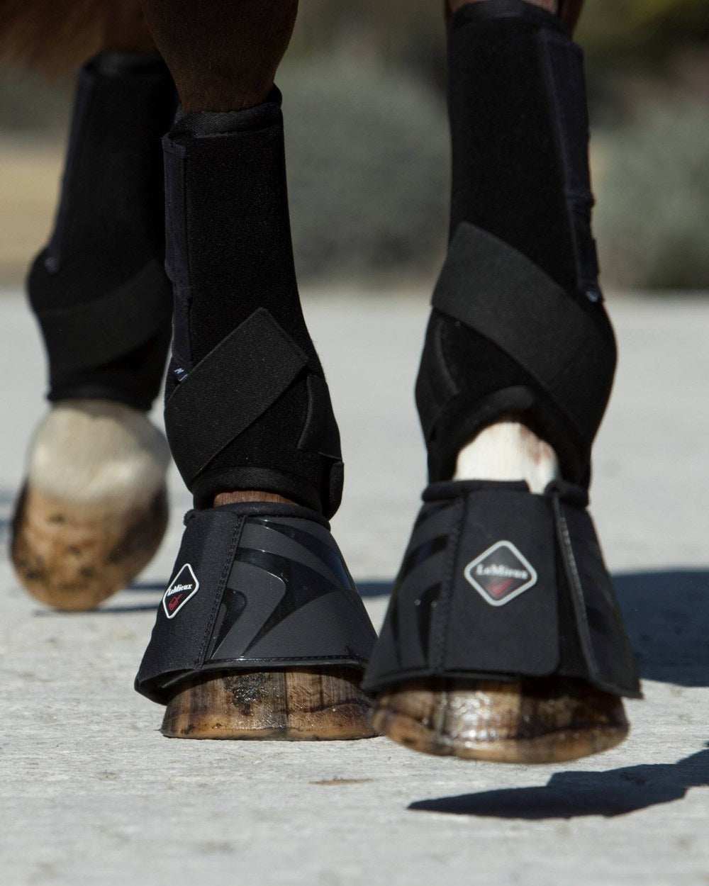 Black coloured LeMieux ProShell Over Reach Boots on blurry background 
