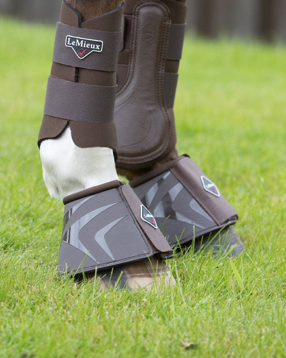 Brown coloured LeMieux ProShell Over Reach Boots on grassy background 