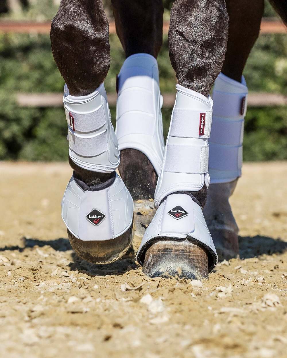 White coloured LeMieux ProShell Over Reach Boots on blurry background 