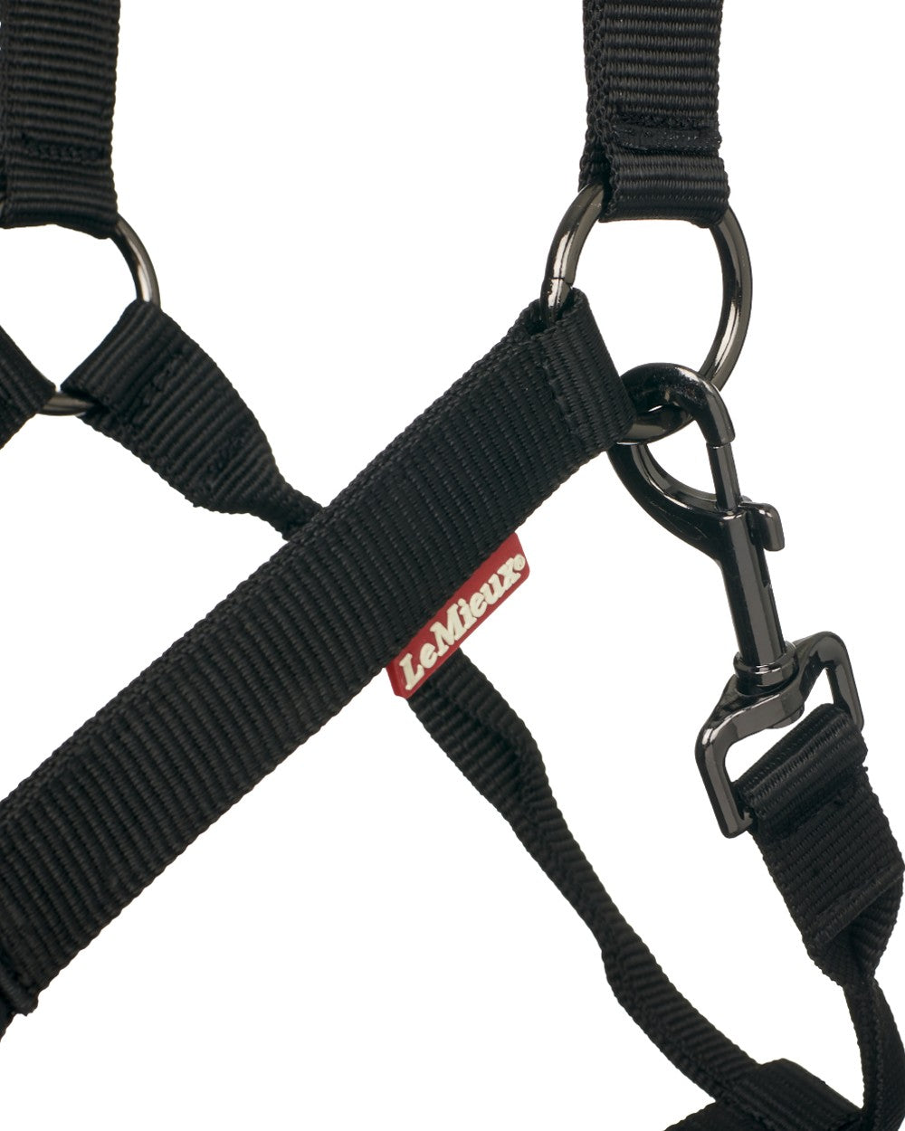 Black coloured LeMieux ProSafe Headcollar on white background 