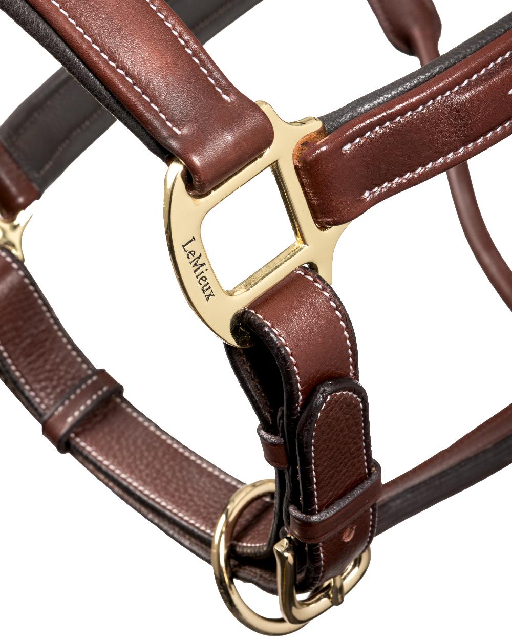 Brown coloured LeMieux Stitched Leather Headcollar on white background 