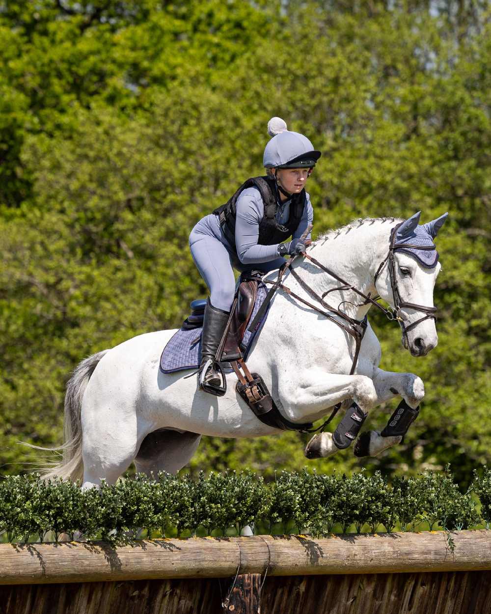 Jay Blue coloured LeMieux Suede Close Contact Squares on showjumping background 