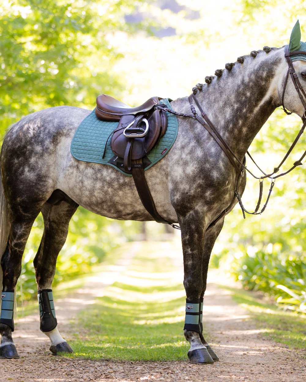 Sage coloured LeMieux Suede Close Contact Squares on trail background 