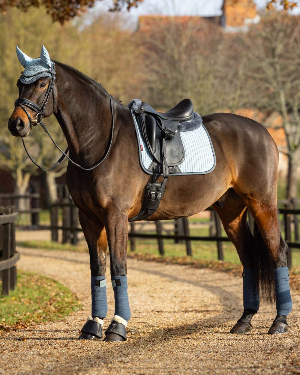 Glacier Coloured LeMieux Suede Dressage Square On A Pasture Background 