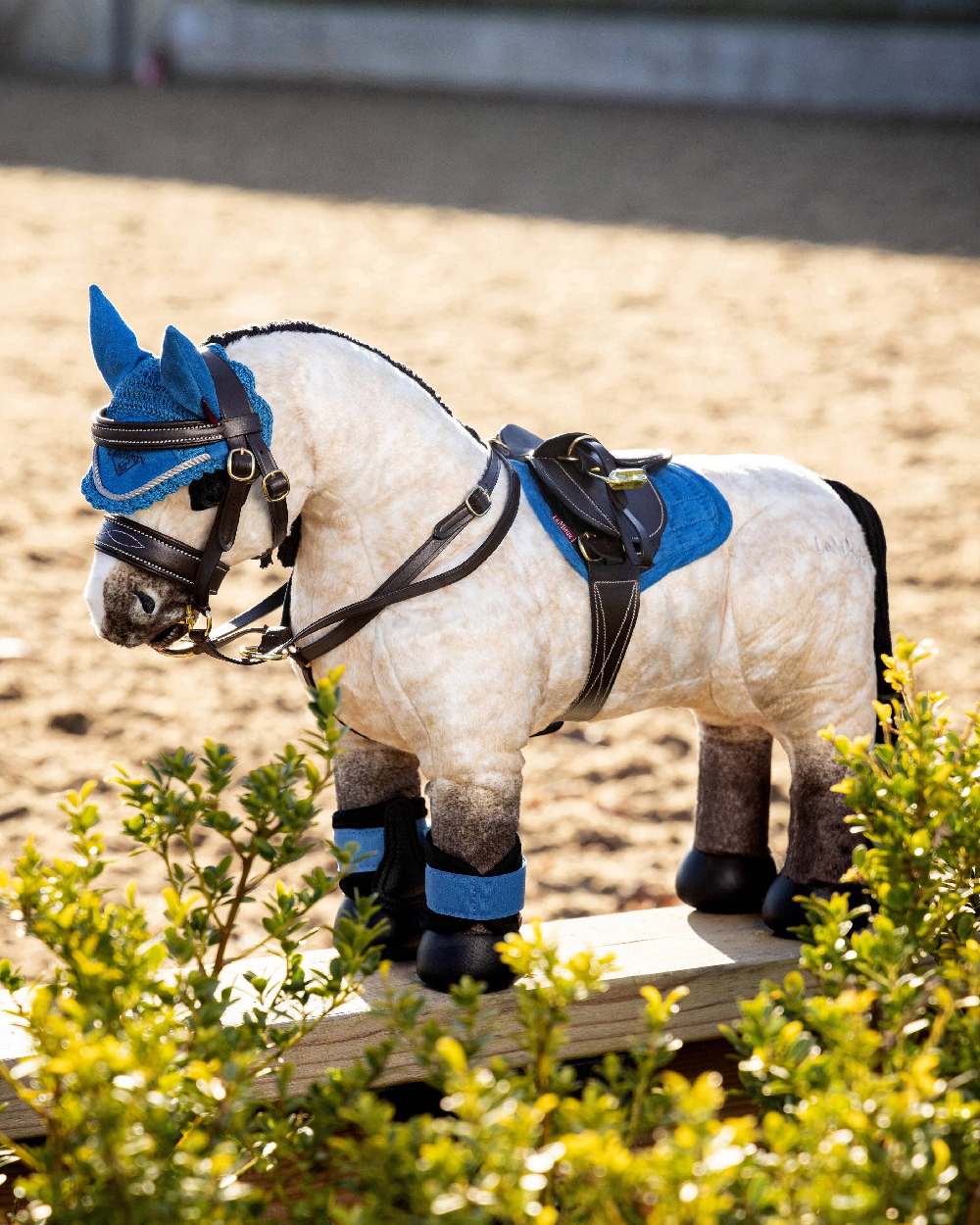 LeMieux Toy Pony Dream on blurry pen background 