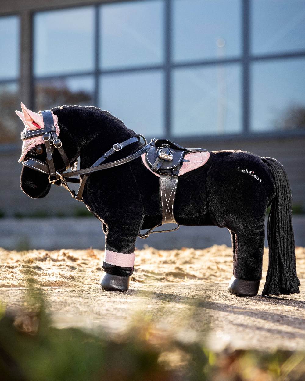 Black coloured LeMieux Toy Pony Martingale on blurry blue background 