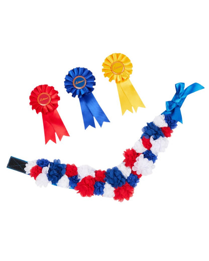 Multi Coloured LeMieux Toy Pony Rosette Pack On A White Background 