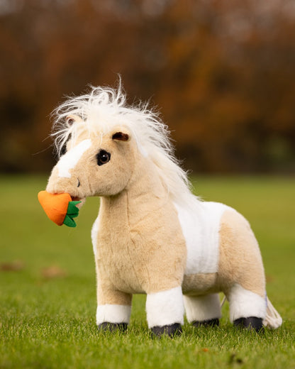 Multi Coloured LeMieux Toy Pony Treat Bucket On A Outer Yard Background 