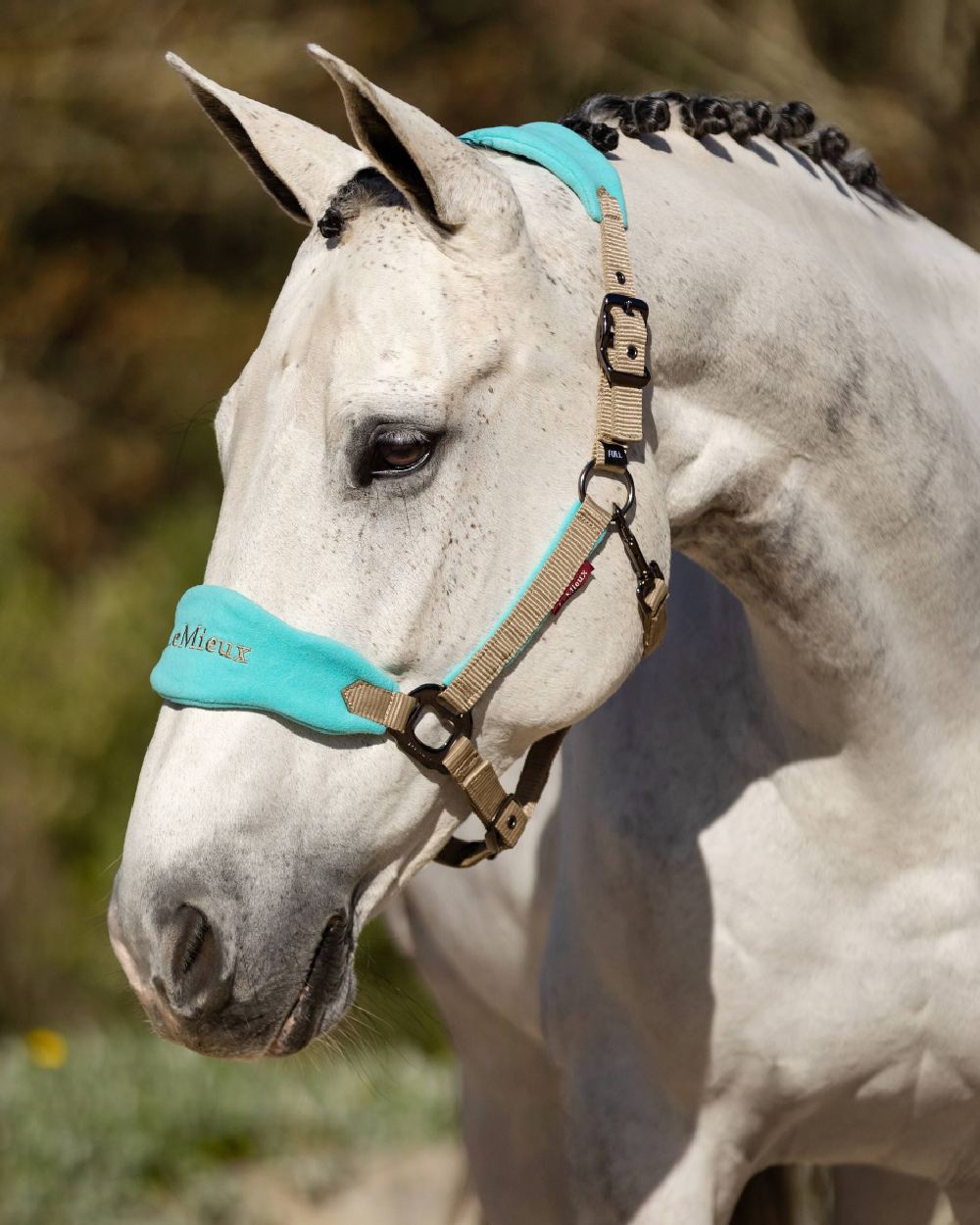 Azure coloured LeMieux Vogue Headcollar &amp; Leadrope on blurry green background 