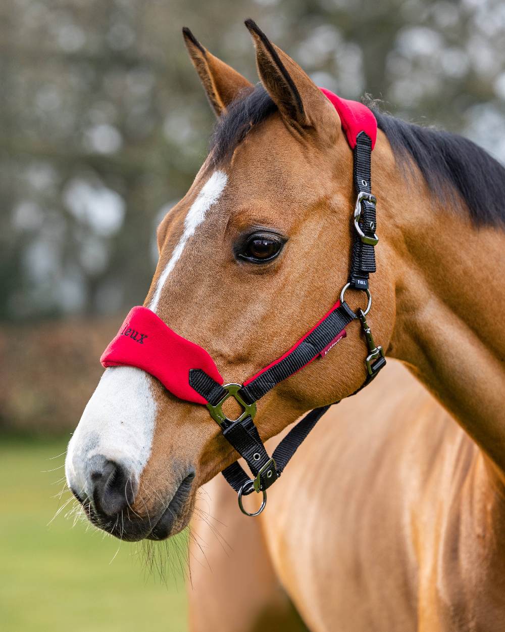 Chilli coloured LeMieux Vogue Headcollar &amp; Leadrope on green blurry background 