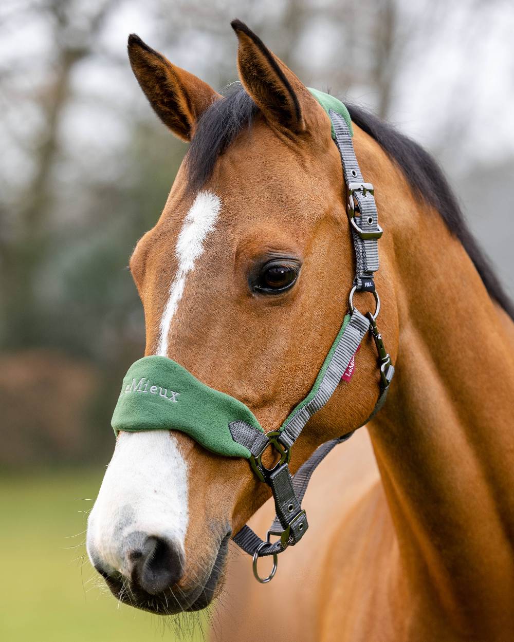 Hunter Green coloured LeMieux Vogue Headcollar &amp; Leadrope on blurry background 