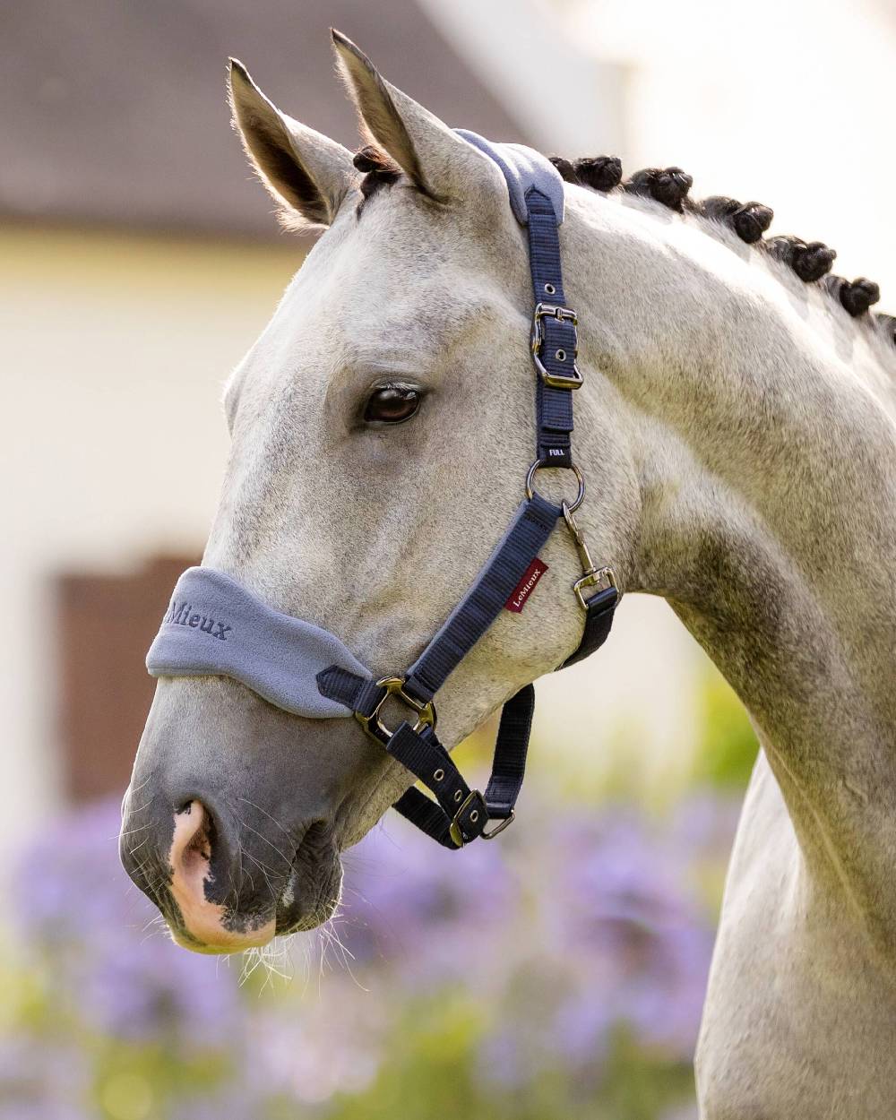 Indigo coloured LeMieux Vogue Headcollar &amp; Leadrope on blurry background 