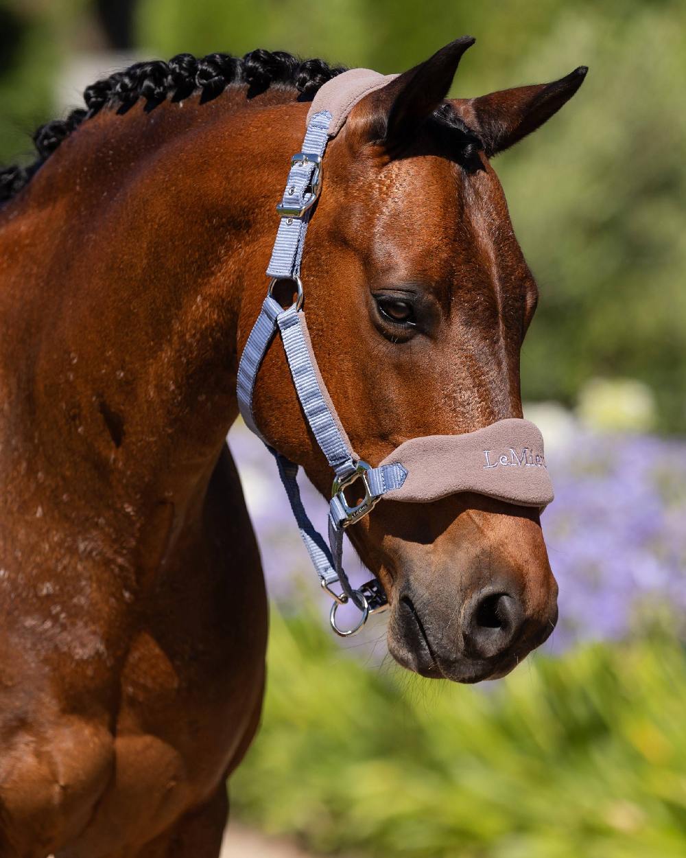 Jay Blue coloured LeMieux Vogue Headcollar &amp; Leadrope on blurry green background 