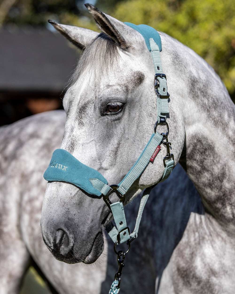 Sage coloured LeMieux Vogue Headcollar &amp; Leadrope on green background 