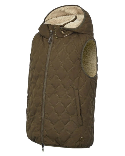 Alpine Coloured LeMieux Young Rider Eloise Reversible Winter Gilet On A White Background 