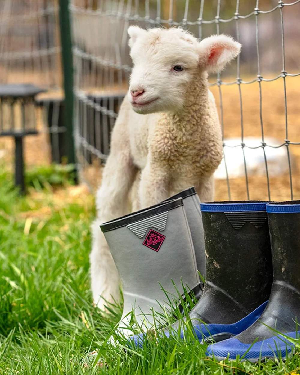 Grey Pink Coloured Muck Boots Childrens Forager Tall Boots on Outdoor Background
