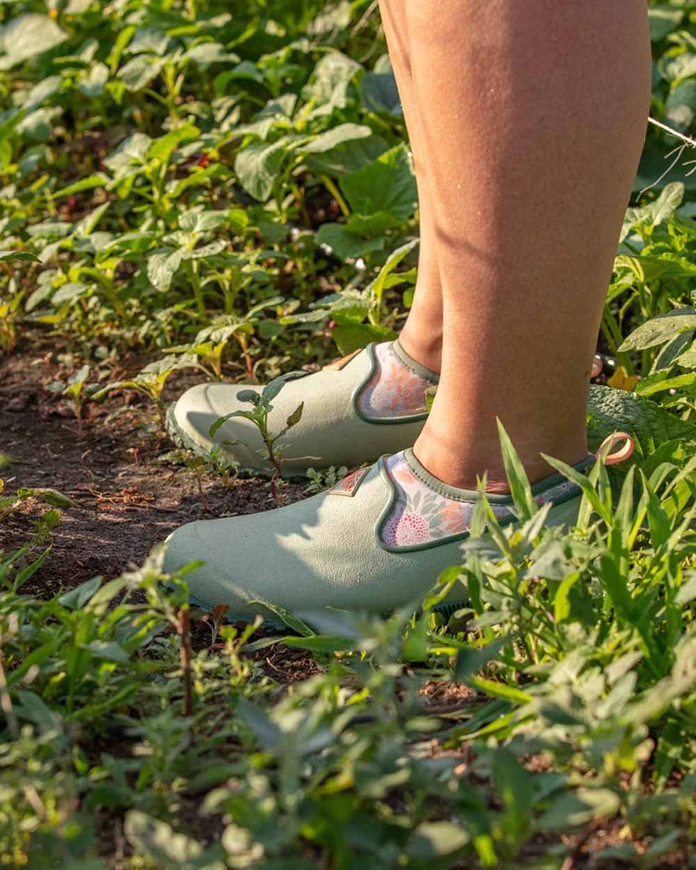 Sunflower Print coloured Muck Boots Womens RHS Muckster II Low Shoes on Garden background 