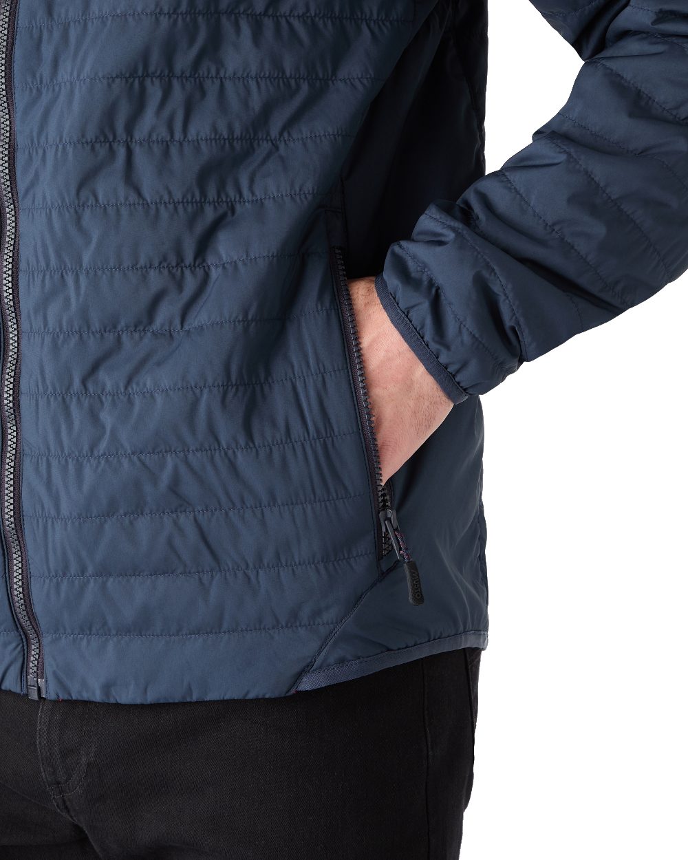 True Navy Coloured Musto Mens Solent Primaloft Insulator Jacket on White Background
